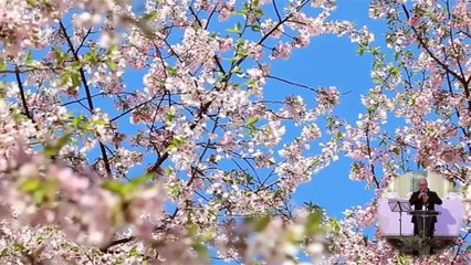 THE LONELY SHEPHERD | #music