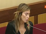 Boschi su par condicio: 