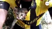 Video. Questo gattino continua a baciare il ciclista Viitor Fonseca che lo ha salvato