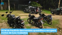 GCM de Paulínia desmantela quadrilha e recupera motos de luxo roubadas