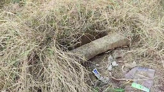 Chow-chow cai em bueiro sem tampa no Florais do Paraná e é socorrido pelo Corpo de Bombeiros