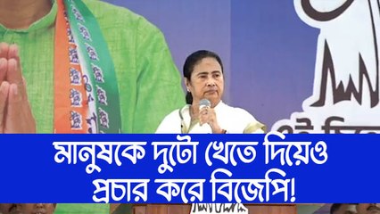 নির্লজ্জ, বেহায়া, ভাঁওতাবাজ! কাকে এ কথা বলে মেজাজ হারালেন Mamata Banerjee?