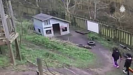 Police appeal for information about Hastings play equipment vandalism