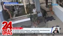 Lalaking nagtangka umanong magnakaw sa isang bahay, hinabol ng aso | 24 Oras