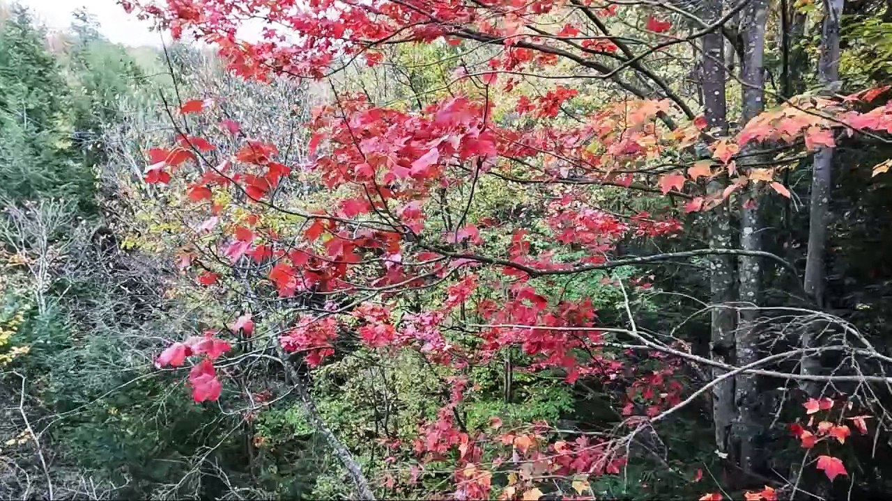 Canada : Québec (Cantons de l'Est)