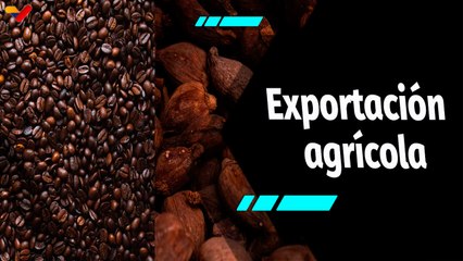 Al Aire | La calidad del café y cacao de Mérida conquista a los mercados internacionales