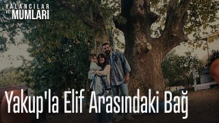 Yakup'la Elif arasındaki bağ