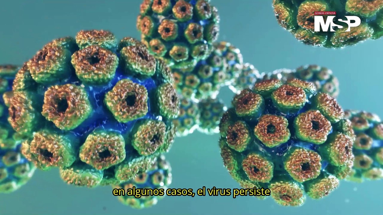 Cáncer de Cuello Uterino: ¿Cómo funciona y cómo se puede prevenir? - #EspecialMSP