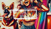 (Music For Content Creators) - Sunlit Whistle, Vlog & Background Music by Top Flow