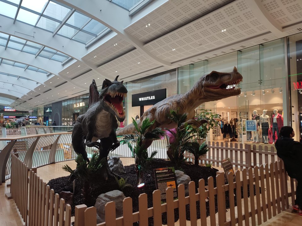 Dinosaurs Derbion Derby