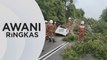 AWANI Ringkas: Lelaki maut kereta dihempap pokok tumbang