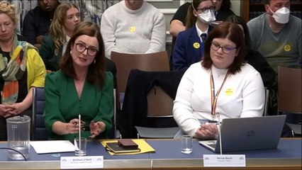 Prof. Siobhán O'Neill brands any failure to support children with special educational needs a ‘disgrace’