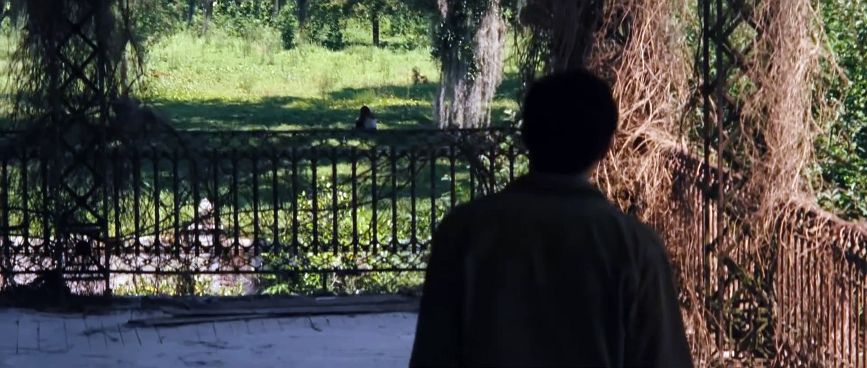 Tráiler de Hermosas criaturas