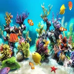 Pair of Kings Season 1 Episode 4 A Mermaid's Tail