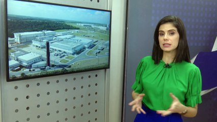 Ministra da Saúde chega ao Recife para inauguração da Hemobrás