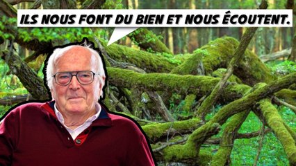 4 anecdotes incroyables à propos des arbres - Francis Hallé
