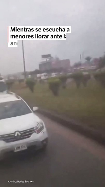 Hombre ataca un bus escolar