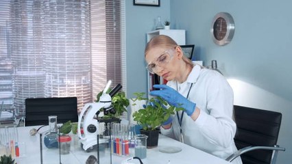 Las Plantas Emiten Sonidos Agudos Cuando Se Estresan