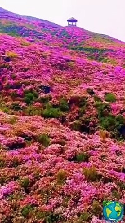 Beautiful viewed