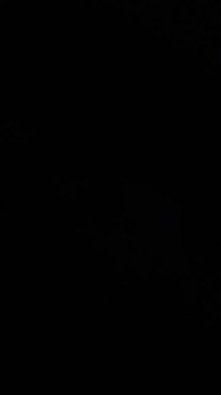 Hier ist mein neuestes Video