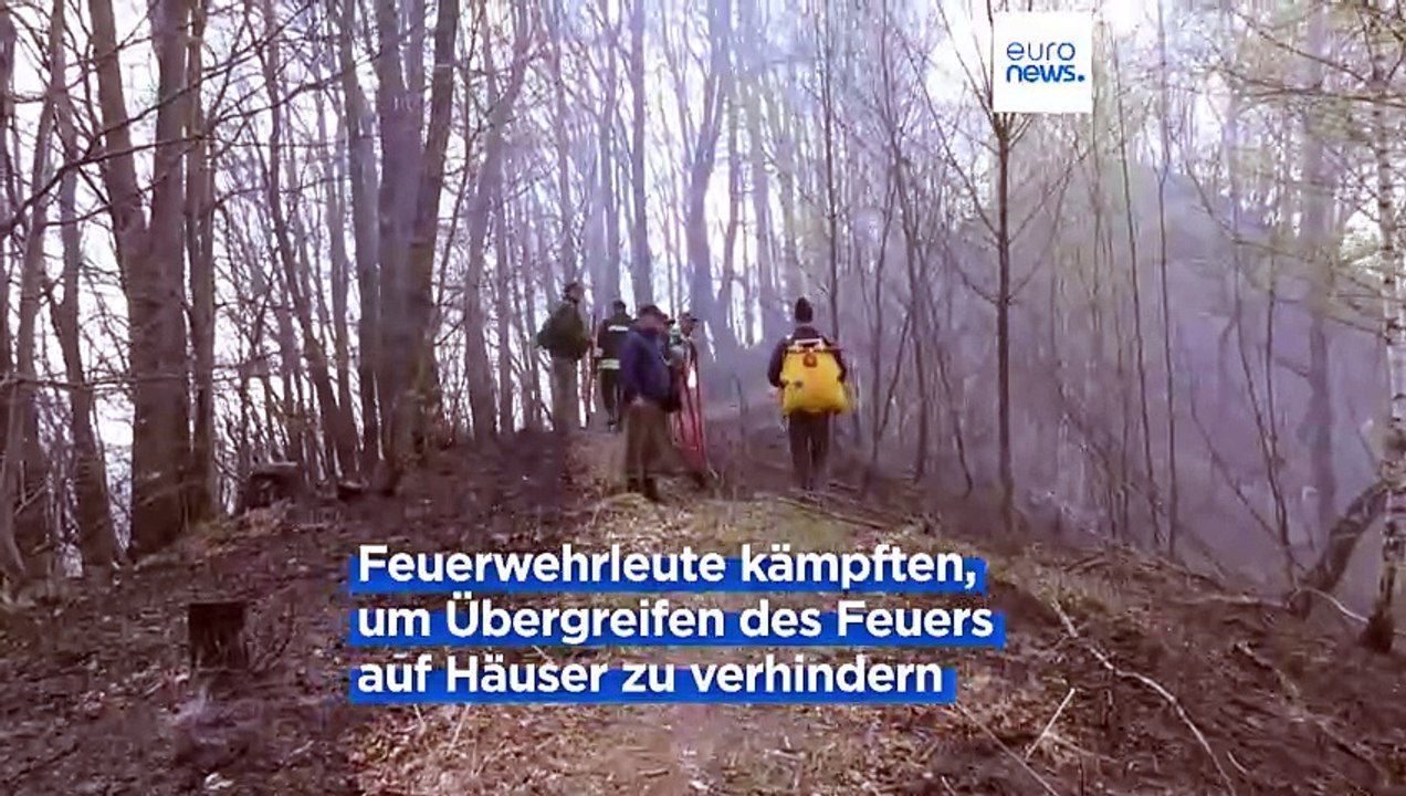 Bereits im April: Waldbrände wüten in Rumänien