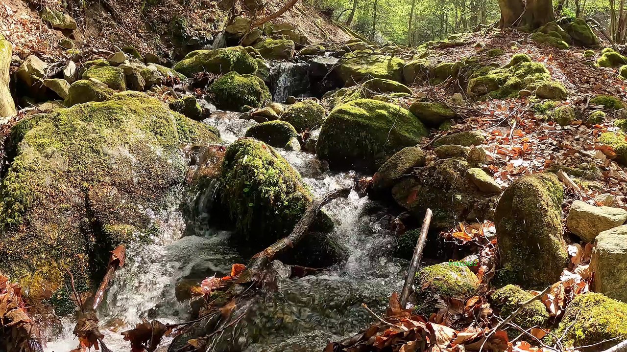 "Bien-être" Eau Cascade bois - Relaxation Détente