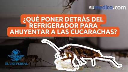 ¿Qué poner detrás del refrigerador para ahuyentar a las cucarachas?