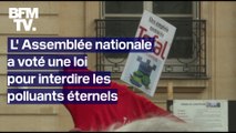 L'Assemblée nationale vote l'interdiction de certains produits contenant des 