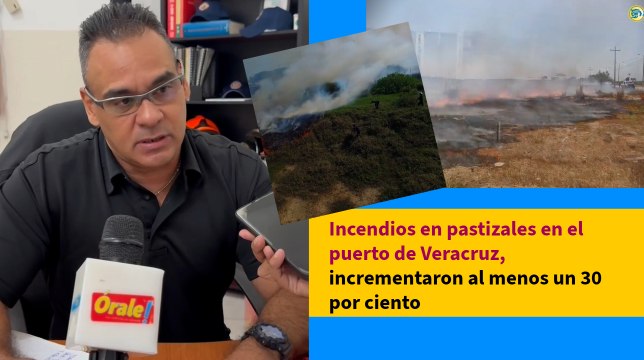 En lo que va del 2024 se han registrado 440 incendios de pastizales en Veracruz