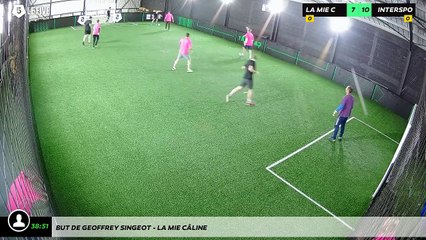 But de Geoffrey SINGEOT - LA MIE CÂLINE