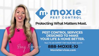 Moxie Pest Control Phoenix