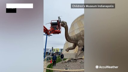 Even the dinosaurs are ready for the solar eclipse