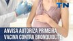 Anvisa autoriza primeira vacina contra bronquiolite