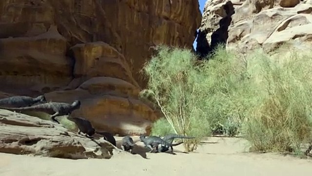 Su Arayan Tarchia - [Tarih Öncesi Gezegen] sezon 2 || Türkçe Belgesel