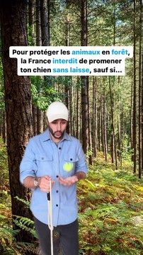 750euros d'amende si tu sors ton chien sans...