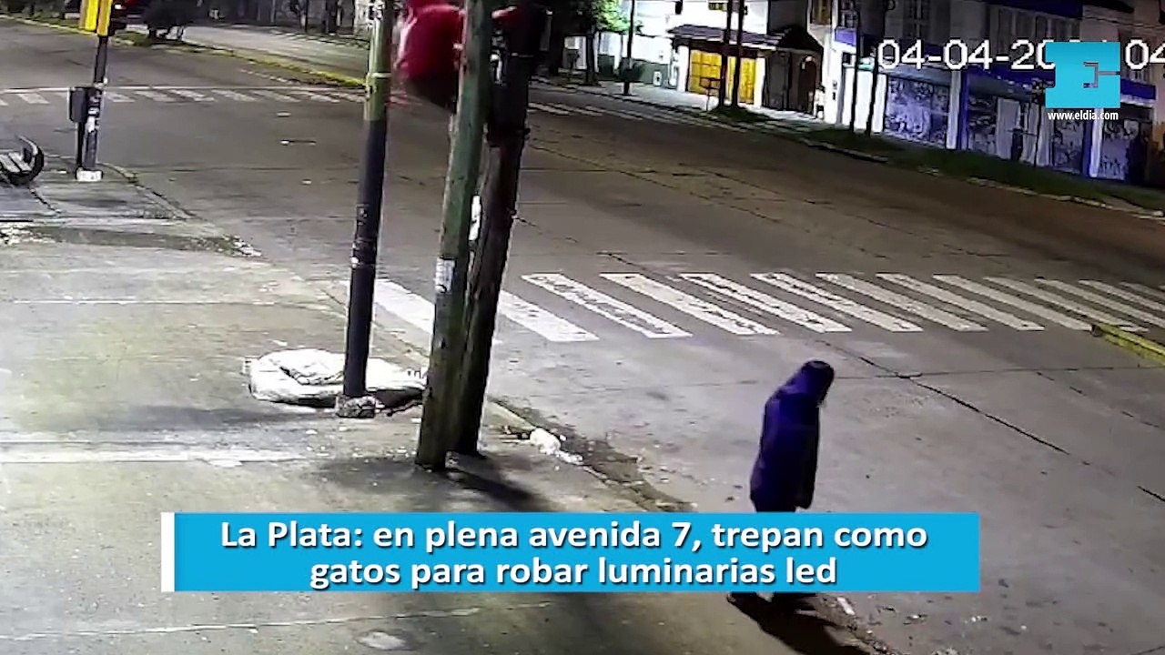 La Plata: en plena avenida 7, trepan como gatos para robar luminarias led
