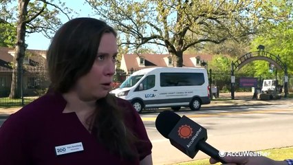 How will animals react to the solar eclipse at the zoo?