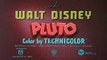 Pluto at the Zoo (1942) Disney Toon