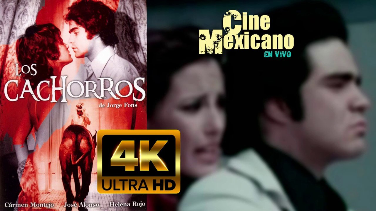PELICULA LOS CACHORROS 1973