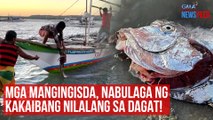 Mga mangingisda, nabulaga ng kakaibang nilalang sa dagat! | GMA Integrated Newsfeed