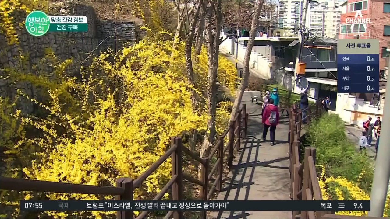 봄 타는 사람 손! 아침만 되면 피로하신가요? '만성 염증'이 많기 때문입니다 #만성염증