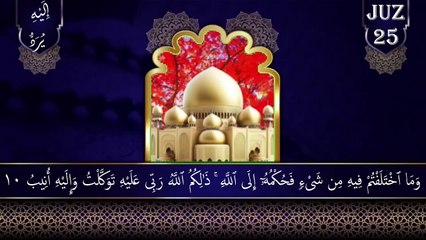 الجزء٢٥ ||الجزء  إِلَيْهِ يُرَدُّ  || الجزء خمسة و عشرون  || juz 25 ||para 25 || sopara 25 ||