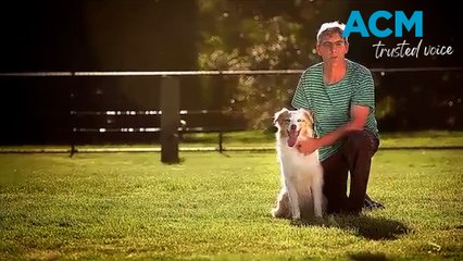 Pet owners warned after deadly virus outbreak