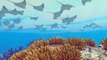 Endless Ocean Luminous — Sounds of the Sea — Nintendo Switch