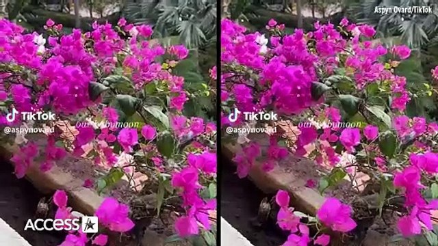 YouTuber Aspyn Ovard DIVORCING Parker Ferris After Birth Of Baby No. 3