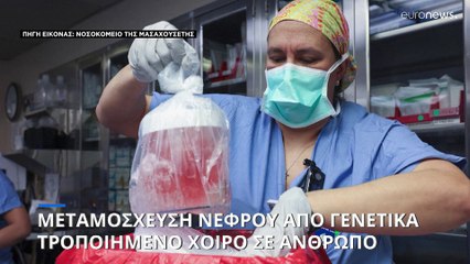 ΗΠΑ: Εξιτήριο στον πρώτο άνθρωπο που του έγινε μεταμόσχευση νεφρού από γενετικά τροποποιημένο χοίρο