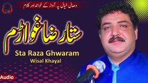 Pashto New Kalam 2024 | Sta Raza Ghwaram | Wisal Khayal