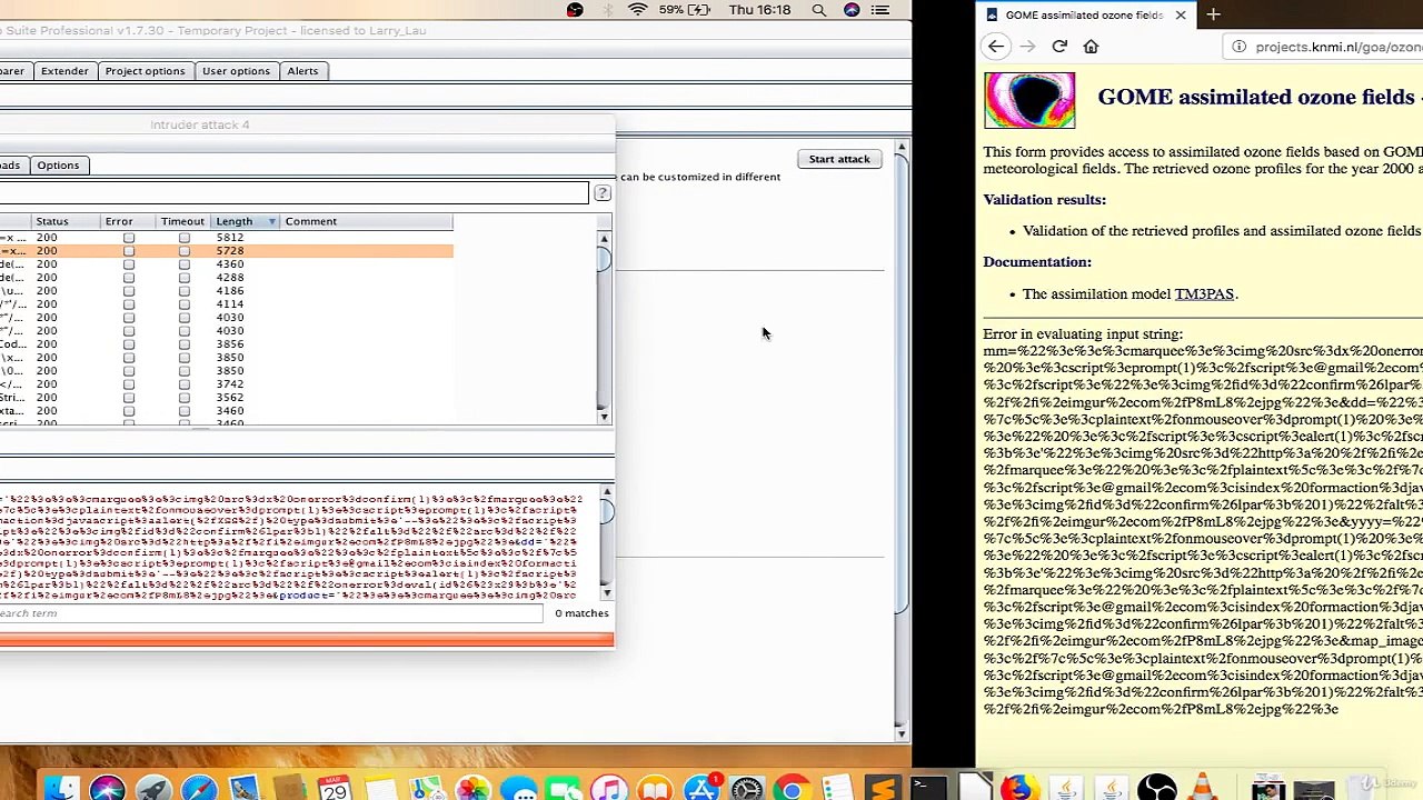 013 XSS On Live Websites