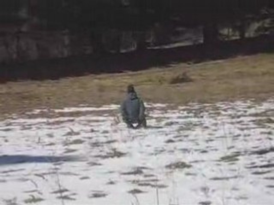La chute en luge