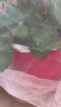 Luckily I protect it on time